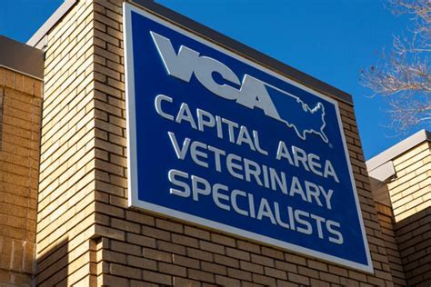 vca animal hospital austin|vca capital area veterinary specialists.